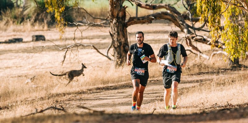 Total Recon  Total Recon