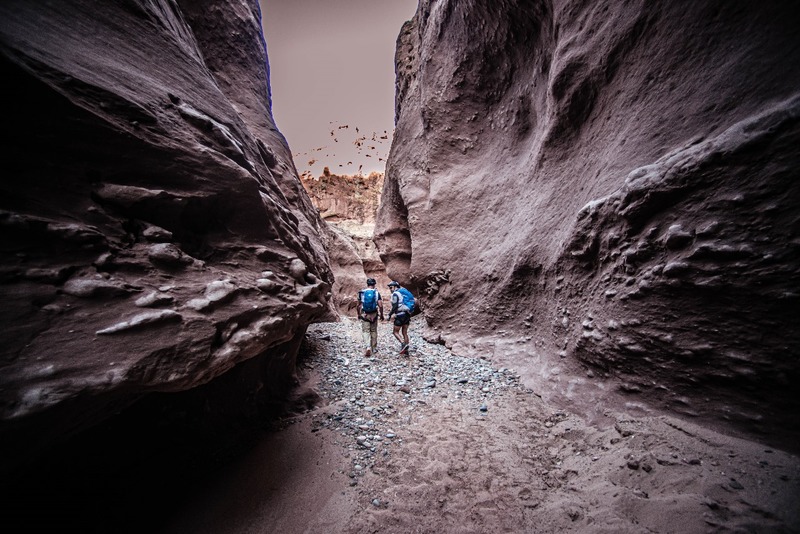 XK Race banner XK Race banner